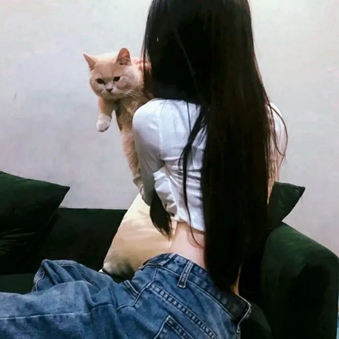 历尽沧桑一美人续集海报