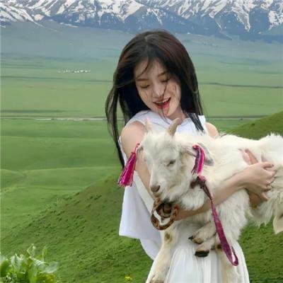 狐狸女士第二季海报
