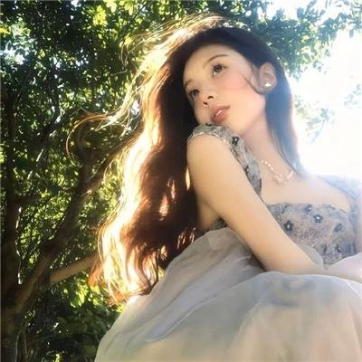 凶猛动物海报